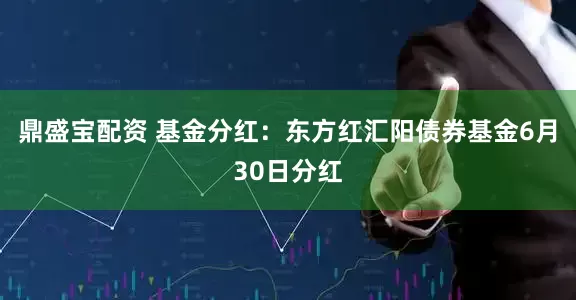 鼎盛宝配资 基金分红：东方红汇阳债券基金6月30日分红