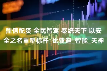 鼎信配资 全民智驾 秦统天下 以安全之名重塑标杆_比亚迪_智能_天神