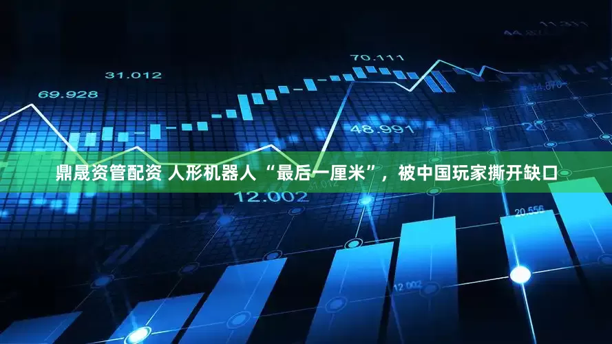鼎晟资管配资 人形机器人 “最后一厘米”，被中国玩家撕开缺口